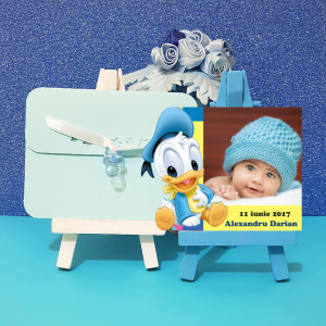Magnet Contur Donald