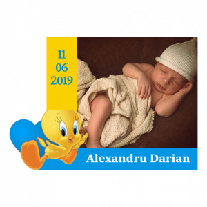 Magnet Contur Tweety 2