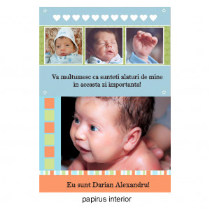Marturie Botez Papirus Model 3