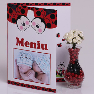 Meniu Botez cu Foto Gemeni Buburuze
