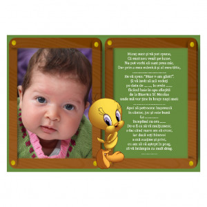 Invitatie Botez Magnetica Tweety 3