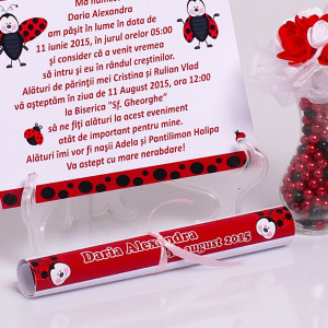 Invitatie Botez Papirus Buburuza 1