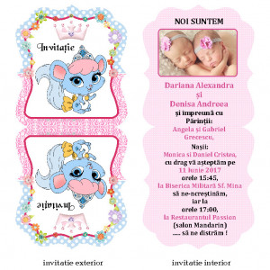 Invitatie Gemeni Contur Disney 26