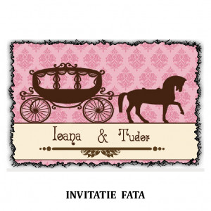 Invitatie Nunta Carte Postala INCP58