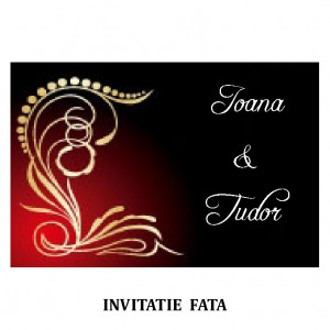 Invitatie Nunta Carte Postala INCP64