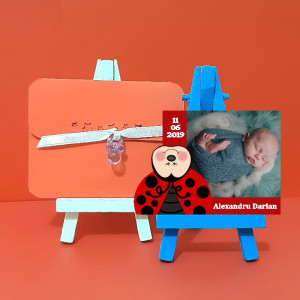 Magnet Contur Buburuz