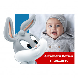 Magnet Contur Bugs Bunny 7