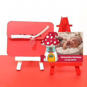 Magnet Contur Ciupercuta 11