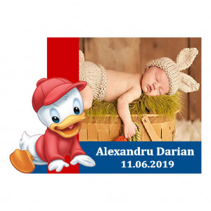 Magnet Contur Donald 9
