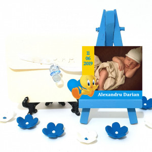 Magnet Contur Tweety 2