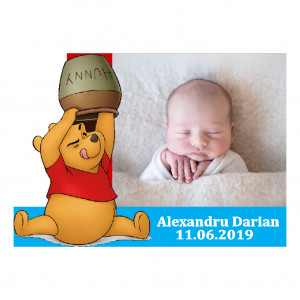 Magnet Contur Winnie The Pooh 16