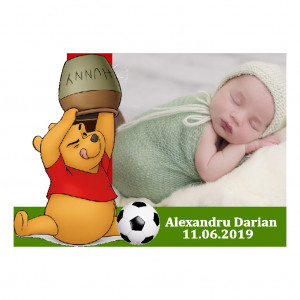 Magnet Contur Winnie The Pooh 28