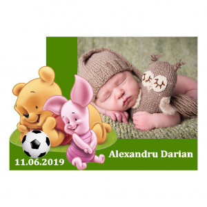 Magnet Contur Winnie The Pooh 31