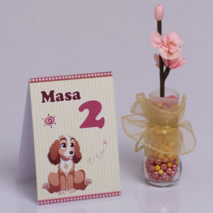 Nr de Masa Botez Lady