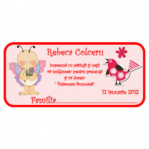 Plic Botez Bebelusa 55