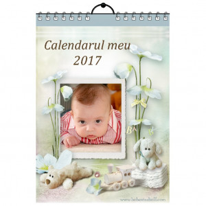 Calendar de perete Silver MOD 21