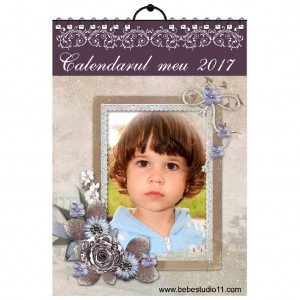 Calendar de perete Silver MOD 49