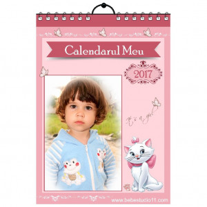 Calendar de perete Silver MOD 6