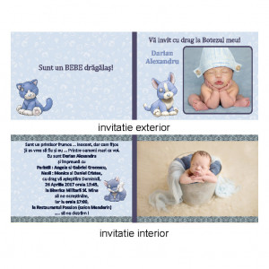 Invitatie Botez Dubla Animalute