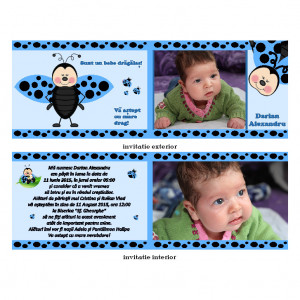Invitatie Botez Dubla Buburuz Albastru