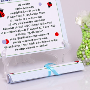 Invitatie Botez Papirus Buburuz