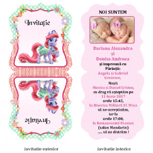 Invitatie Gemeni Contur Disney 33