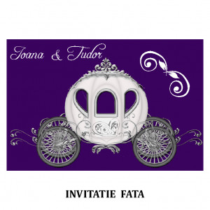 Invitatie Nunta Carte Postala INCP62