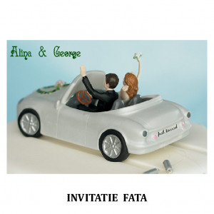 Invitatie Nunta Carte Postala INCP78