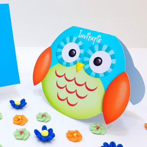 Invitatii Botez Contur Bufnita 1