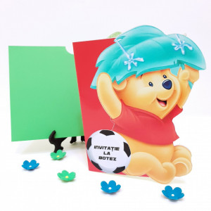 Invitatii Botez Contur Winnie 4