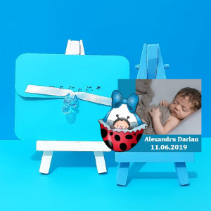 Magnet Contur Buburuz