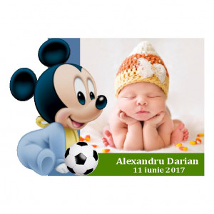 Magnet Contur Mickey Mouse 17