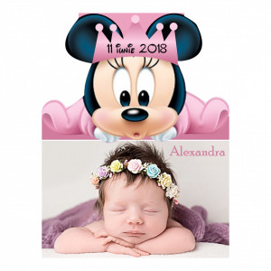 Magnet Contur Minnie Mouse 13