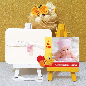Magnet Contur Tweety 1