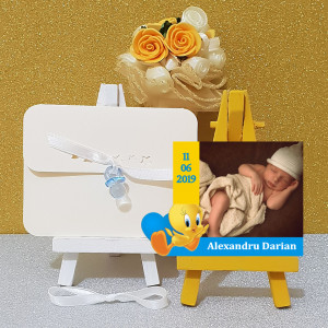 Magnet Contur Tweety 2