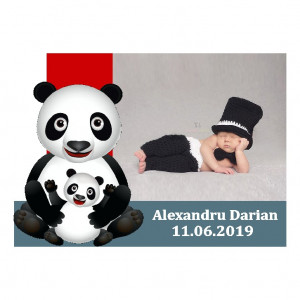 Magnet Contur Ursulet Panda
