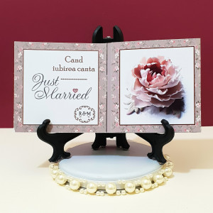 Marturie Nunta Carticica Just Married