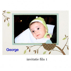 Invitatie Botez Cu Capsa Disney 1