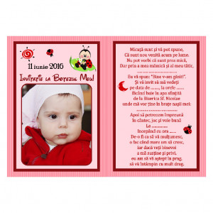 Invitatie Botez Magnetica Buburuza Rosie 2