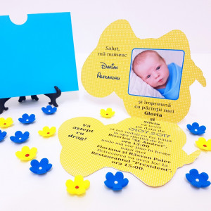 Invitatii Botez Contur Tweety