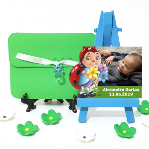 Magnet Contur Buburuz 1