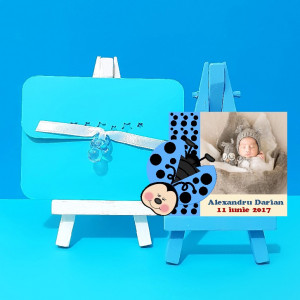 Magnet Contur Buburuz