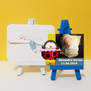 Magnet Contur Buburuz