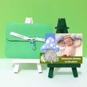 Magnet Contur Ciupercuta 1