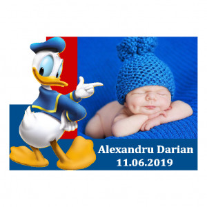 Magnet Contur Donald 12