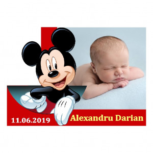 Magnet Contur Mickey Mouse 15