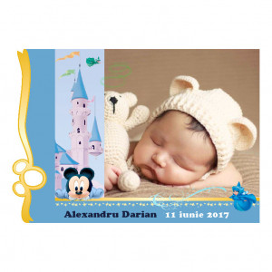 Magnet Contur Mickey Mouse 35