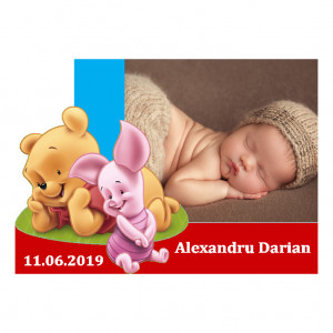 Magnet Contur Winnie The Pooh 19