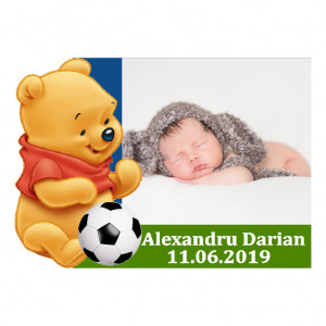 Magnet Contur Winnie The Pooh 29
