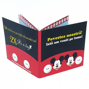 Marturie Gemeni Carticica 2 Mickey 1